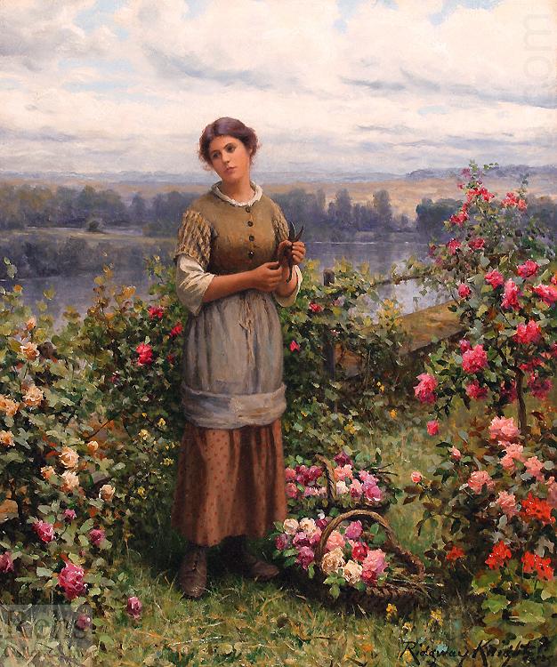Daniel Ridgeway Knight Julia Gathering Roses china oil painting image